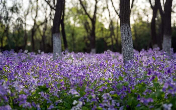 台北外出按摩到府酒店上門服務 橫幅